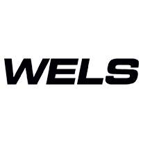 Чип тюнинг Wels